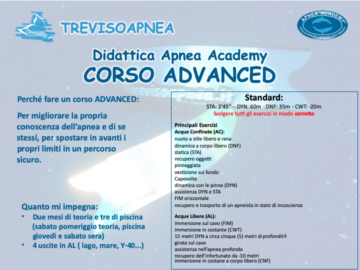 Diapositiva10
